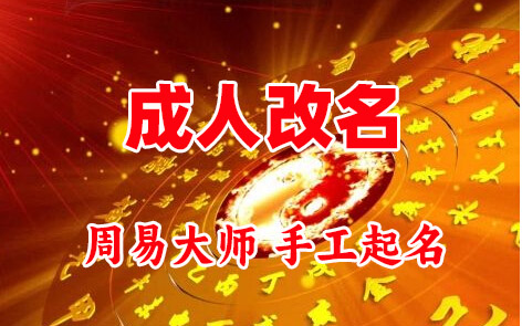 沧州成人改名-找大师一对一改名先分析后改名